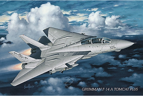 Grumman F-14 Tomcat Plus Poster